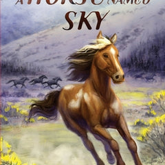 A Horse Named Sky