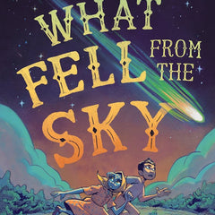What Fell from the Sky