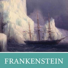 Frankenstein: A Norton Critical Edition