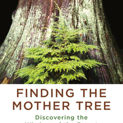 Finding the Mother Tree: Discovering the Wisdom of the Forest