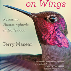 Fastest Things on Wings: Rescuing Hummingbirds in Hollywood