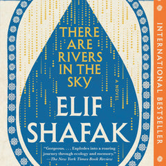 There Are Rivers in the Sky