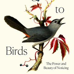 Turning to Birds: The Power and Beauty of Noticing