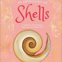 An Anthology of Shells: A Collection of Fascinating Shells from Around the World