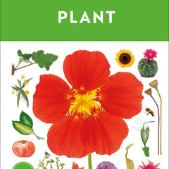 Eyewitness Plant