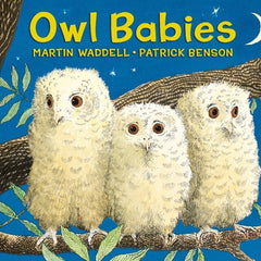 Owl Babies