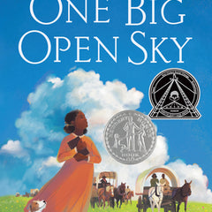 One Big Open Sky