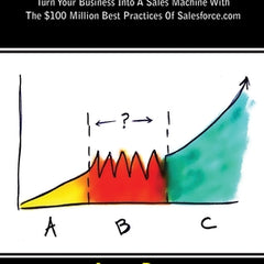 Predictable Revenue: Turn Your Business Into a Sales Machine with the $100 Million Best Practices of Salesforce.com