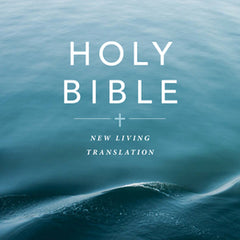 Text Bible-NLT-Economy