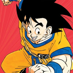 Dragon Ball Z (Vizbig Edition), Vol. 1