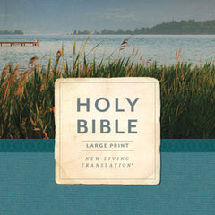 Holy Bible, Economy Outreach Edition, Large Print, NLT (Softcover)