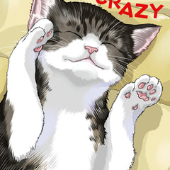 Cat + Crazy Volume 1