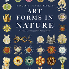 Ernst Haeckel's Art Forms in Nature: A Visual Masterpiece of the Natural World