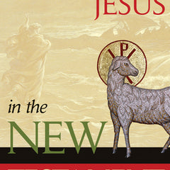 Encountering Jesus in the New Testament
