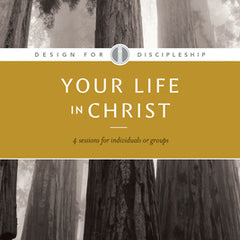 Your Life in Christ
