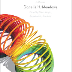 Thinking in Systems: International Bestseller
