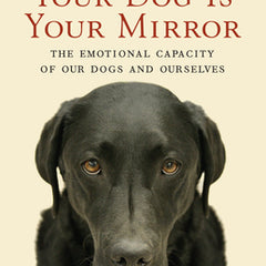 Your Dog Is Your Mirror: The Emotional Capacity of Our Dogs and Ourselves
