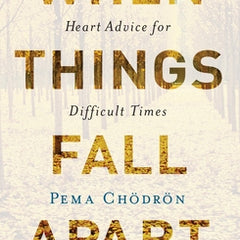 When Things Fall Apart: Heart Advice for Difficult Times