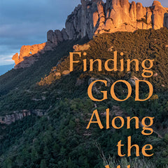 Finding God Along the Way: Wisdom from the Ignatian Camino for Life at Home