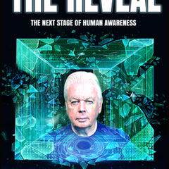 The Reveal: The Next Stage of Human Awareness