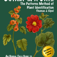 Botany in a Day: The Patterns Method of Plant Identification