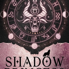 Zodiac Academy 4: Shadow Princess