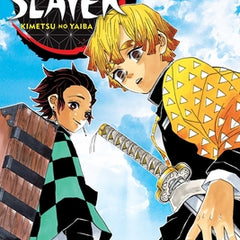 Demon Slayer: Kimetsu No Yaiba, Vol. 3