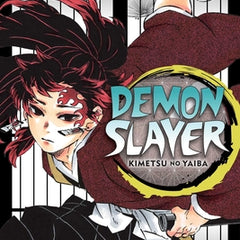 Demon Slayer: Kimetsu No Yaiba, Vol. 20