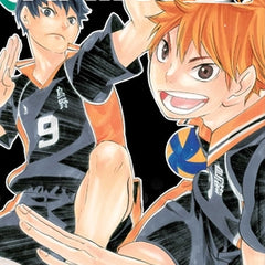 Haikyu!! (3-In-1 Edition), Vol. 1: Includes Vols. 1, 2 & 3
