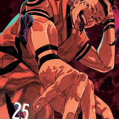 Jujutsu Kaisen, Vol. 25